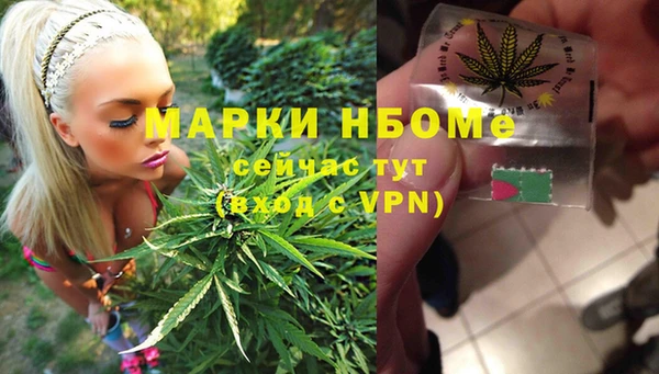 гидропоника Алзамай