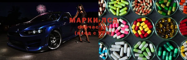 ГАЛЛЮЦИНОГЕННЫЕ ГРИБЫ Алексеевка