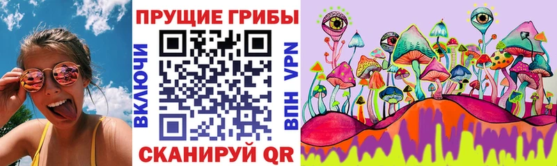 даркнет телеграм  Черемхово  Псилоцибиновые грибы мухоморы 