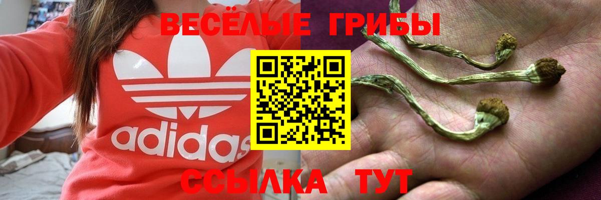 Черемхово  Псилоцибиновые грибы ЛСД  Вход с VPN 